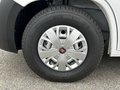 Daumennagel 8 - VANTourer 600D 9G Aufstelldach Markise Rahmenfenster