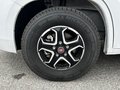 Daumennagel 59 - Forster T745 EB 10 Jahre Edition Kamera Multimedia