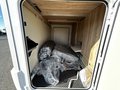 Daumennagel 41 - Eura Mobil PT 696 EB Mondial Plus Dachklima NAVI Kamera