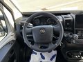 Thumbnail 19 - Robeta Womondo 600 Lifestyle AHK Schnitzer FreeLiving+ Alpine11"