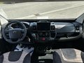 Thumbnail 16 - Robeta Womondo 600 Lifestyle AHK Schnitzer FreeLiving+ Alpine11"