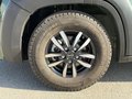 Daumennagel 9 - Robeta Womondo 600 Lifestyle AHK Schnitzer FreeLiving+ Alpine11"