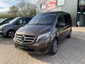Daumennagel 40 - Mercedes-Benz Marco Polo V250 d Küche AHK-ILS-NAVI-CAM- PDC