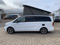 Daumennagel 5 - Mercedes-Benz V 300d 4Matic Marco Polo Küche AHK ILS NAVI