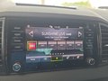 Daumennagel 25 - Skoda Karoq 2,0TDI DSG 4*J.Gar/aAHK/Kamera/Kessy/Winterp.  **