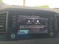 Daumennagel 29 - Skoda Karoq 2,0TDI DSG 4*J.Gar/aAHK/Kamera/Kessy/Winterp.  **