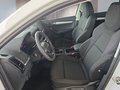 Daumennagel 9 - Skoda Karoq 2,0TDI DSG 4*J.Gar/aAHK/Kamera/Kessy/Winterp.  **
