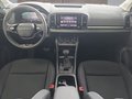 Daumennagel 10 - Skoda Karoq 2,0TDI DSG 4*J.Gar/aAHK/Kamera/Kessy/Winterp.  **