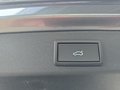 Daumennagel 20 - Skoda Kodiaq 1,5TSI DSG aAHK/7-Sitzer/Navi/ACC/el.Klappe **