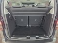 Daumennagel 17 - Volkswagen Caddy Maxi Style 1,5TSI DSG aAHK/LED/Navi/Kamera/Winterp. **