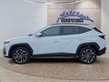 Daumennagel 2 - Hyundai TUCSON 1.6 T-GDI HEV 239PS 19*Alu/Matrix/ACC/Kamera/el.Klappe   **