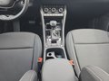 Daumennagel 12 - Skoda Karoq 1,5TSI DSG aAHK/ACC/Kamera/Winterp. **