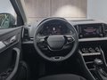 Daumennagel 13 - Skoda Karoq 1,5TSI DSG aAHK/ACC/Kamera/Winterp. **