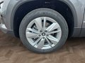 Daumennagel 15 - Skoda Karoq 1,5TSI DSG aAHK/ACC/Kamera/Winterp. **