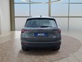 Daumennagel 4 - Skoda Karoq 1,5TSI DSG aAHK/ACC/Kamera/Winterp. **