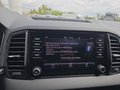 Daumennagel 32 - Skoda Karoq 1,5TSI DSG aAHK/ACC/Kamera/Winterp. **