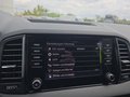 Daumennagel 39 - Skoda Karoq 1,5TSI DSG aAHK/ACC/Kamera/Winterp. **