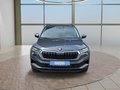 Daumennagel 8 - Skoda Karoq 1,5TSI DSG aAHK/ACC/Kamera/Winterp. **