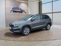 Daumennagel 1 - Skoda Karoq 1,5TSI DSG aAHK/ACC/Kamera/Winterp. **