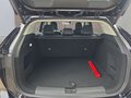 Daumennagel 17 - MG HS Hybrid+ Luxury 19*Alu/Leder/Navi/ACC/el.Klappe  **