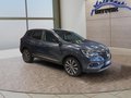 Daumennagel 7 - Renault Kadjar 1.7 BLUE dCi Bose Edition 4WD AHK/LED/Navi/Pano