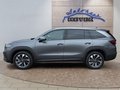 Daumennagel 2 - Skoda Kodiaq 2,0TSI DSG 4x4 aAHK/7-Sitzer/Matrix/Navi/el.Klappe   **