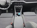 Daumennagel 12 - Skoda Kodiaq 2,0TSI DSG 4x4 aAHK/7-Sitzer/Matrix/Navi/el.Klappe   **