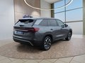 Daumennagel 5 - Skoda Kodiaq 2,0TSI DSG 4x4 aAHK/7-Sitzer/Matrix/Navi/el.Klappe   **