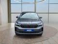Daumennagel 8 - Skoda Kodiaq 2,0TSI DSG 4x4 aAHK/7-Sitzer/Matrix/Navi/el.Klappe   **