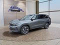 Daumennagel 1 - Skoda Kodiaq 2,0TSI DSG 4x4 aAHK/7-Sitzer/Matrix/Navi/el.Klappe   **