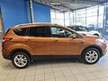 Daumennagel 4 - Ford Kuga Titanium 1,5 176PS 4x4 Aut. 8*Alu/Navi/Winterp.