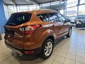 Daumennagel 8 - Ford Kuga Titanium 1,5 176PS 4x4 Aut. 8*Alu/Navi/Winterp.