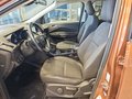 Daumennagel 9 - Ford Kuga Titanium 1,5 176PS 4x4 Aut. 8*Alu/Navi/Winterp.