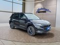 Daumennagel 7 - Skoda Karoq Sportline 1,5TSI DSG aAHK/ACC/Matrix/Navi/el.Klappe   **