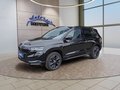 Daumennagel 1 - Skoda Karoq Sportline 1,5TSI DSG aAHK/Matrix/Kessy/Winterp.  **