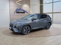 Daumennagel 1 - Hyundai TUCSON 1,6T PHEV N Line X UPE=57000 Euro!        **