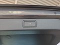Daumennagel 23 - Skoda Kamiq Monte Carlo 1,5TSI DSG AHK/Matrix/el.Klappe **