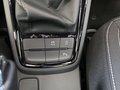 Daumennagel 28 - Skoda Kamiq Monte Carlo 1,5TSI DSG AHK/Matrix/el.Klappe **