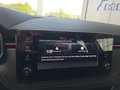 Daumennagel 35 - Skoda Kamiq Monte Carlo 1,5TSI DSG AHK/Matrix/el.Klappe **