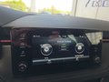 Daumennagel 44 - Skoda Kamiq Monte Carlo 1,5TSI DSG AHK/Matrix/el.Klappe **