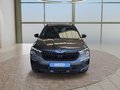 Daumennagel 8 - Skoda Kamiq Monte Carlo 1,5TSI DSG AHK/Matrix/el.Klappe **