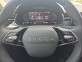 Daumennagel 23 - Skoda Kamiq Selection 1,5TSI DSG AHK/Kamera/LED/Kessy/Winterp. **