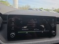 Daumennagel 40 - Skoda Kamiq Selection 1,5TSI DSG AHK/Kamera/LED/Kessy/Winterp. **