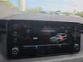Daumennagel 42 - Skoda Kamiq Selection 1,5TSI DSG AHK/Kamera/LED/Kessy/Winterp. **