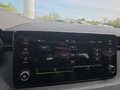 Daumennagel 48 - Skoda Kamiq Selection 1,5TSI DSG AHK/Kamera/LED/Kessy/Winterp. **