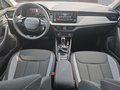 Daumennagel 10 - Skoda Kamiq Selection 1,5TSI DSG AHK/Kamera/LED/Kessy/Winterp. **