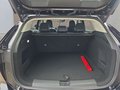 Daumennagel 16 - MG HS Hybrid+ Luxury 19*Alu/Leder/Navi/ACC/el.Klappe  **