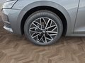 Daumennagel 14 - Skoda Octavia 1,5TSI DSG aAHK/Matrix/ACC/Kamera/el.Klappe **