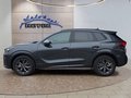 Daumennagel 2 - CUPRA Terramar 1.5 eTSI DSG ACC/Kessy/el.Klappe/Winterp. **