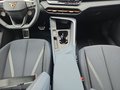 Daumennagel 12 - CUPRA Terramar 1.5 eTSI DSG ACC/Kessy/el.Klappe/Winterp. **